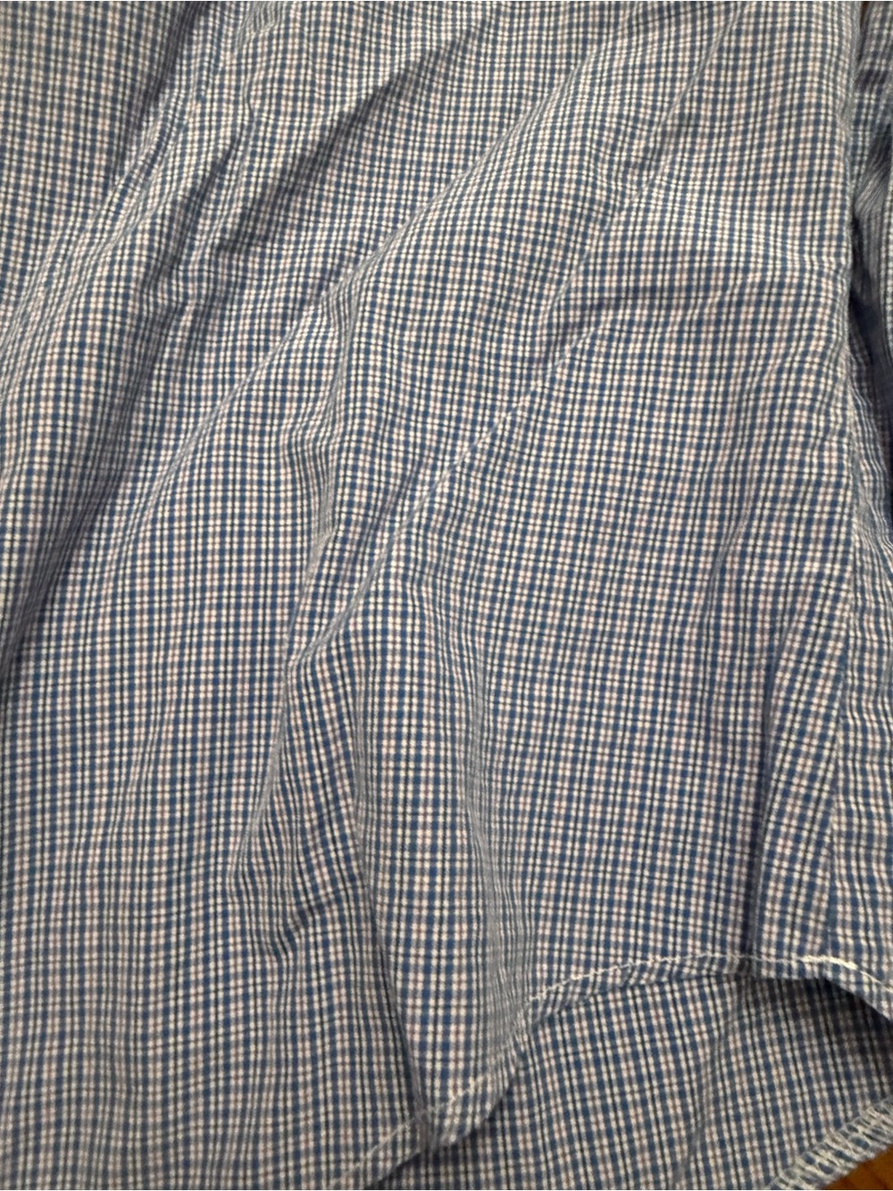 Polo by Ralph Lauren Blue Micro-Check Button-Down Shirt - Picture 3 of 4